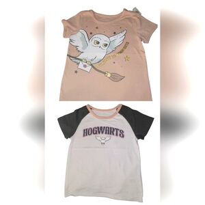 Harry Potter Hogwarts Set Of 2 Tees